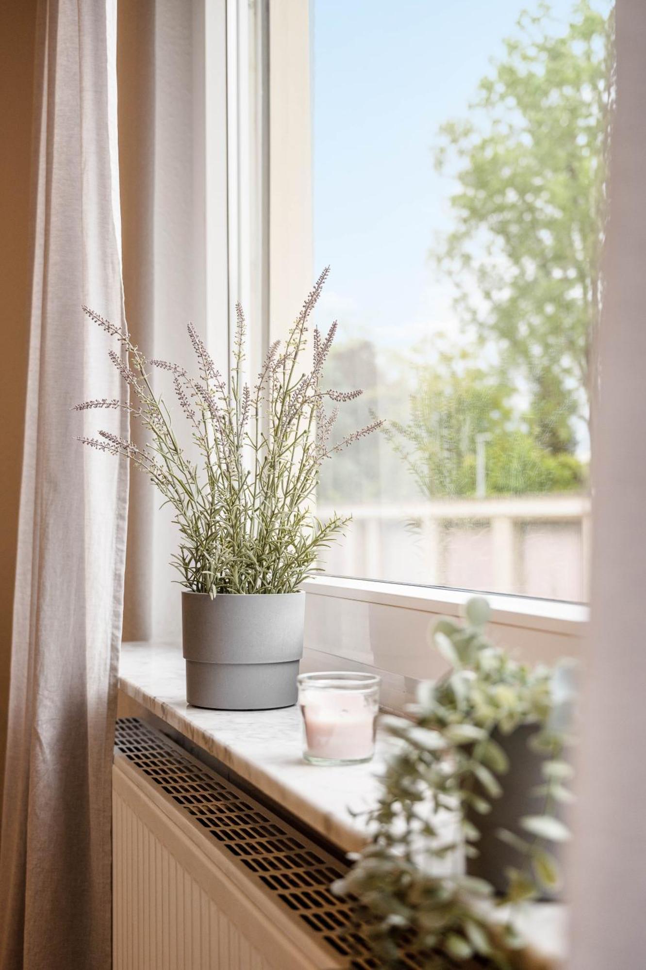 Casa Aguila - Ruhige, Zentrale 4 Zimmerwohnung In Viernheim Exteriér fotografie